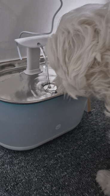 ed7c978adfa4744ac1f60b5612dd49e9_1744247319_7544.gif