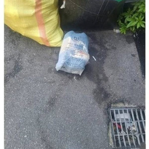 9 분명 부산은 맞는데.jpg