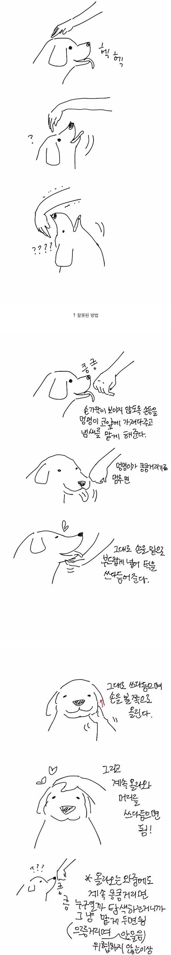 1000028042.webp.ren (1).jpg