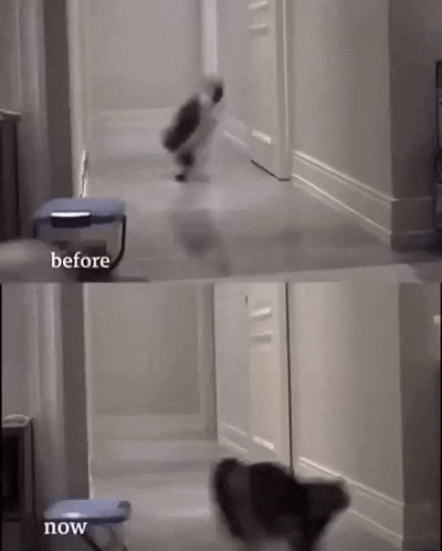 88ea372e41578cdf92f64c7d739ef514.gif