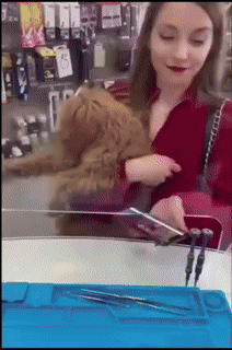 9 핸드폰 1초 만에 고치기.gif