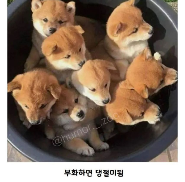 00a4d9c0edebbb016f8992af23b322b1_1746086444_8453.png