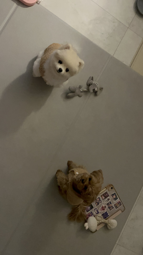01b46171c6ed0d58f611fe5288a1ea9c_1746867322_4004.jpeg
