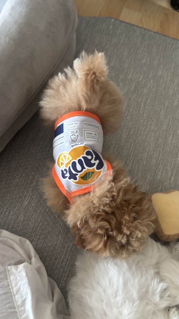 05c29b34742864d69f4a2380f5b764fe_1746932304_8689.jpeg