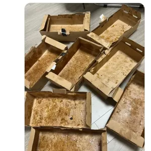 하루에 허니콤보 8마리 먹은 사람.jpg
