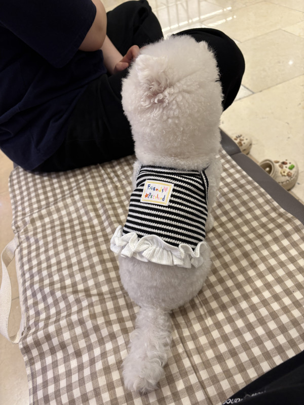 06a12991b8ccef6cbf879561d6c4312c_1746931612_9949.jpeg