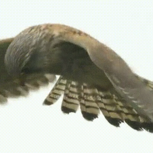 동영상 썸네일