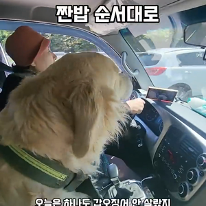 동영상 썸네일