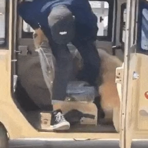 동영상 썸네일
