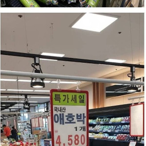 01.jpg