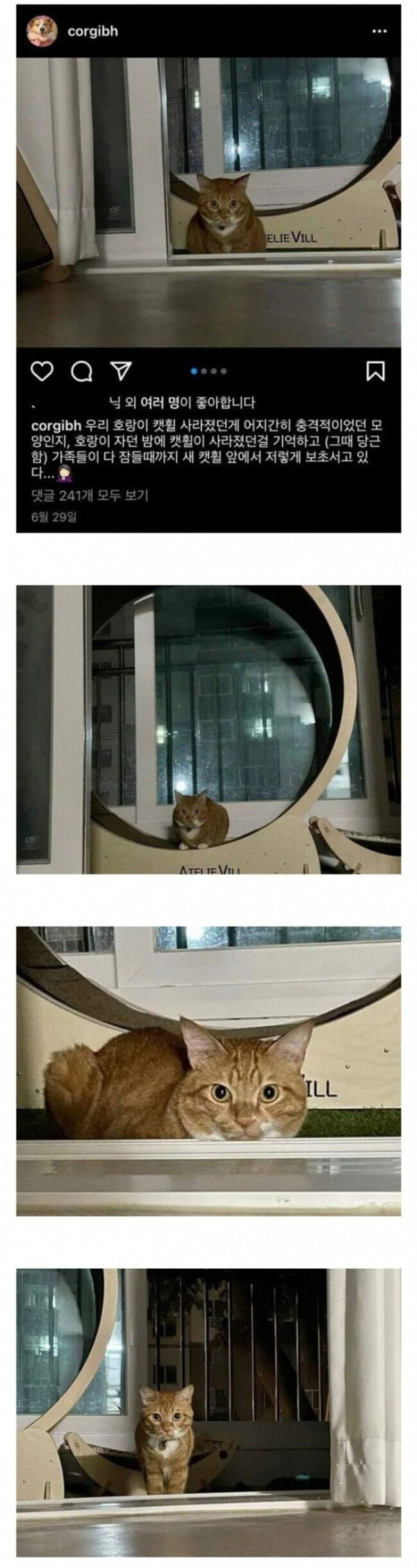 20250430215101_bZSTDtxnA3.png