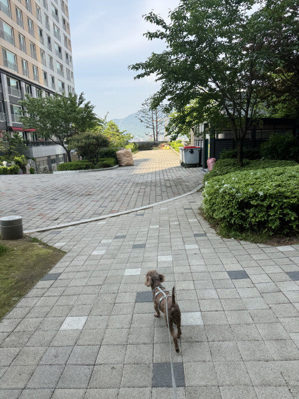 07e0f7bc51c14030916f6a8594c4b812_1746170195_5325.jpeg