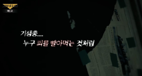 P_004.jpg