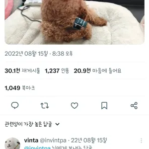 강아지도 혈압을 이렇게 잰다함