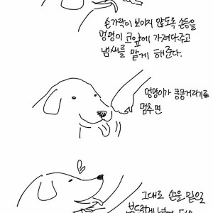 1000028042.webp.ren (1).jpg