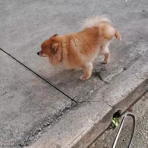 동영상 썸네일