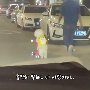 동영상 썸네일