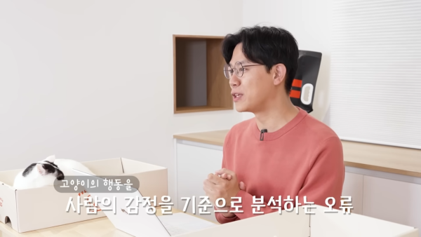 미야옹철-고양이는 집사를 사랑하지 않는다 | 인스티즈