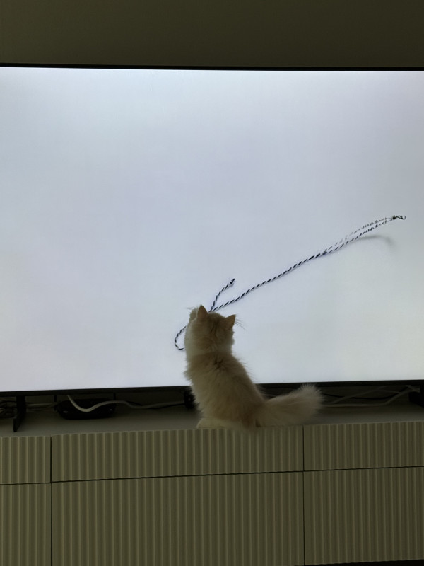 0e75c3534f074668f69840aa020ad628_1746777056_1042.jpeg