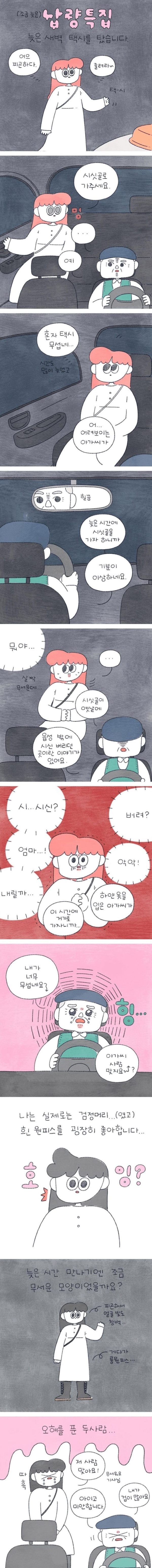 17 밤에 택시 탔는데 기사님 손님 둘 다 당황한 이유.jpg