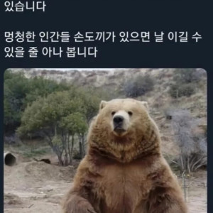 15 곰에 관한 러시아 속담.jpg