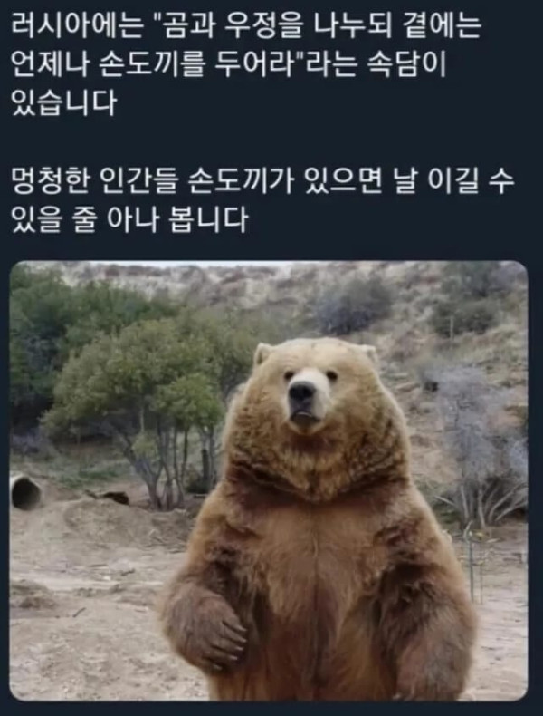 15 곰에 관한 러시아 속담.jpg