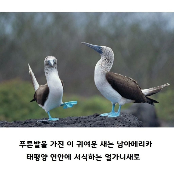 4-1.jpg