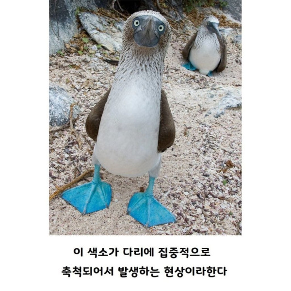4-3.jpg