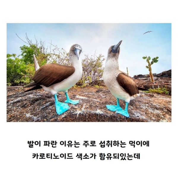 4-2.jpg