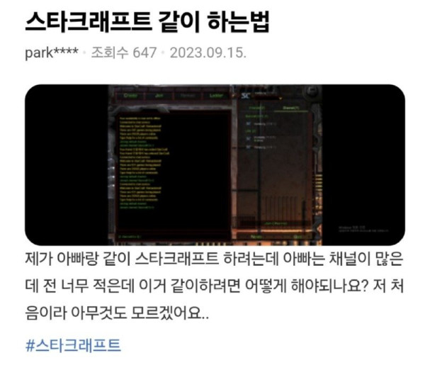 04.jpg