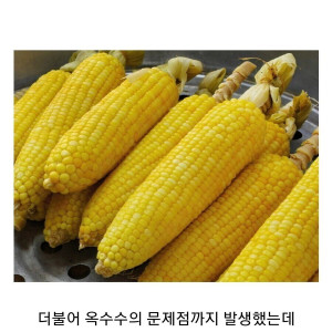 3000년된 문명이 리셋당한 이유