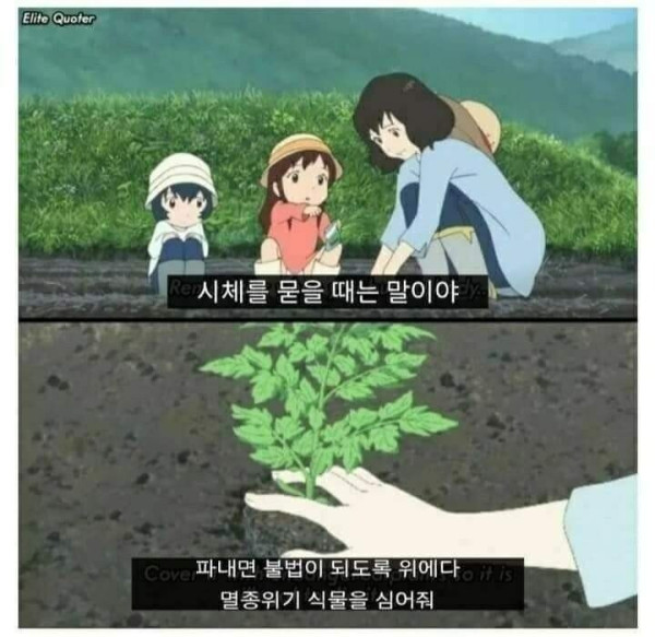 00-1.jpg