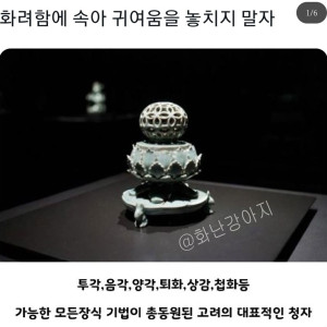20 화려함에 속아 귀여움을 놓치지 말자.jpg