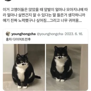 20250530094628_B0X5a9z1VZ.webp