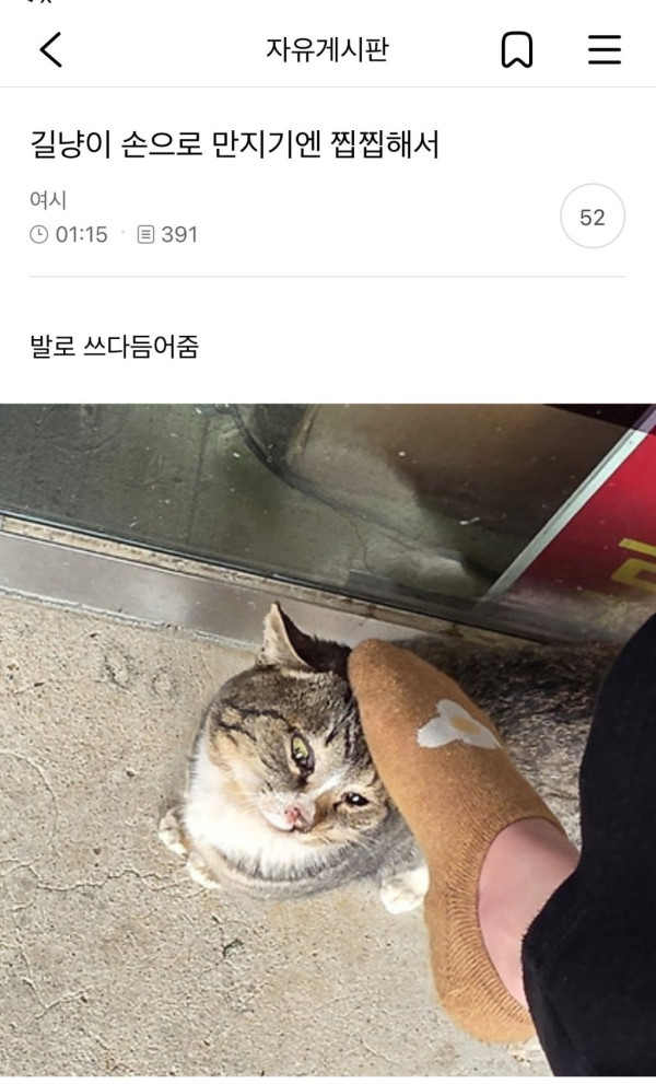 길냥이 손으로 만지긴엔 찝찝해서 | 인스티즈