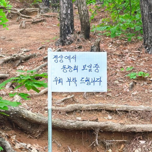 레전드 등산 틀딱들.jpg