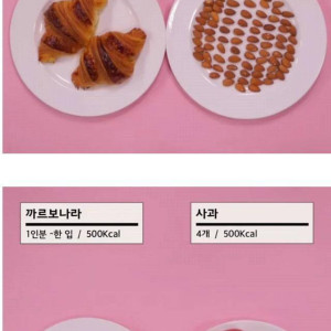 500칼로리 비교 짤 | 인스티즈