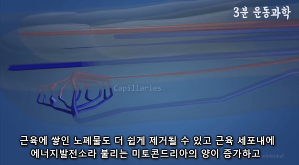 달리기를 꼭 해야하는 이유
