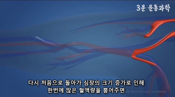 달리기를 꼭 해야하는 이유
