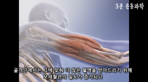달리기를 꼭 해야하는 이유