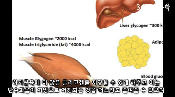 달리기를 꼭 해야하는 이유