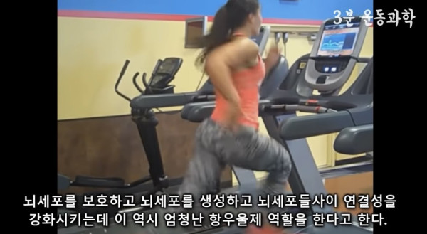 달리기를 꼭 해야하는 이유
