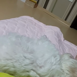 동영상 썸네일