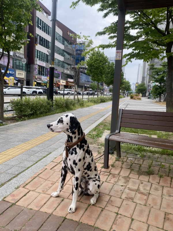10b3423ef7af84d8ce5b1c5b05bfa37d_1746511286_1421.jpeg