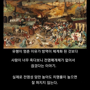 13 중세의 흑사병이 유행 멈춘 이유 썰중 하나.jpg