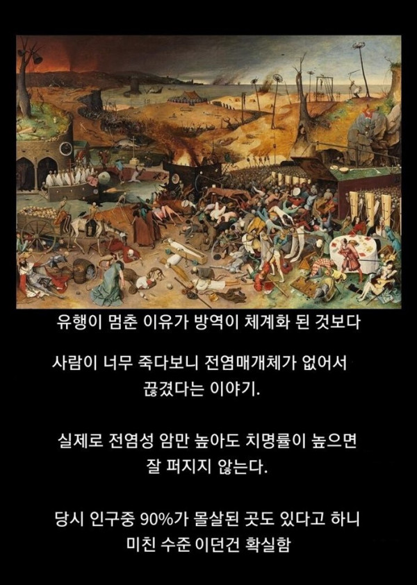13 중세의 흑사병이 유행 멈춘 이유 썰중 하나.jpg