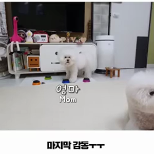 동영상 썸네일