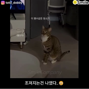 동영상 썸네일