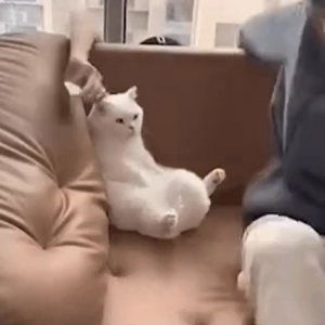 동영상 썸네일