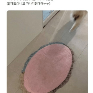 20250526114812_1eoiEA1uiq.png